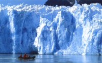 Антарктида. Покрытый льдами континент, окружающий Южный полюс