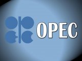 Организация стран — экспортеров нефти (ОПЕК)