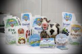 Компания «БелАгро» – качественная молочная продукция
